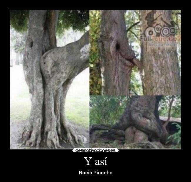 Y así - Nació Pinocho