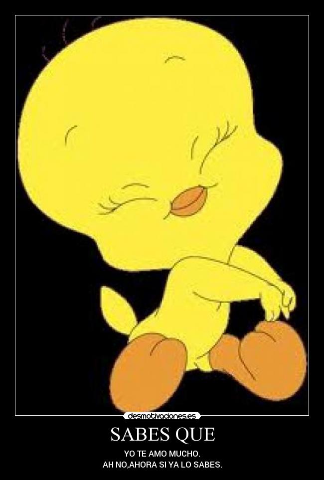 SABES QUE - YO TE AMO MUCHO.
AH NO,AHORA SI YA LO SABES.