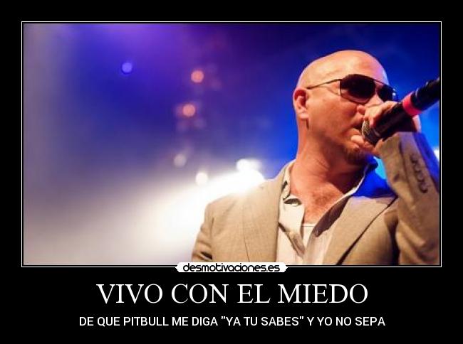 VIVO CON EL MIEDO - DE QUE PITBULL ME DIGA YA TU SABES Y YO NO SEPA