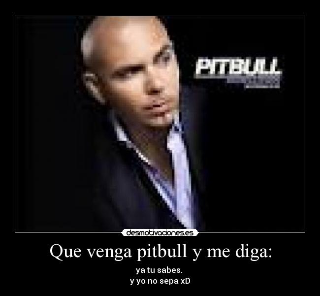 Que venga pitbull y me diga: -