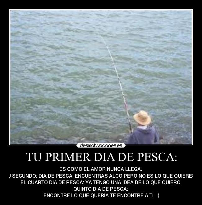 carteles 44483 desmotivaciones