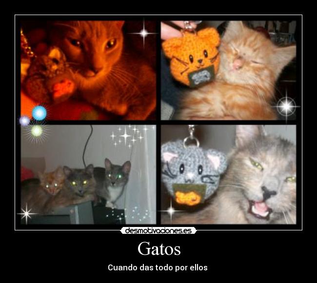 carteles gatos carol desmotivaciones