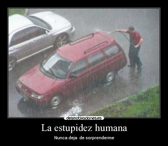 La estupidez humana -