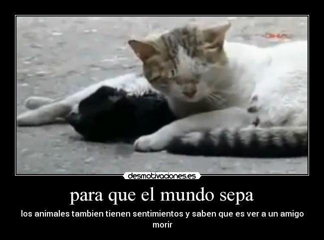 para que el mundo sepa -