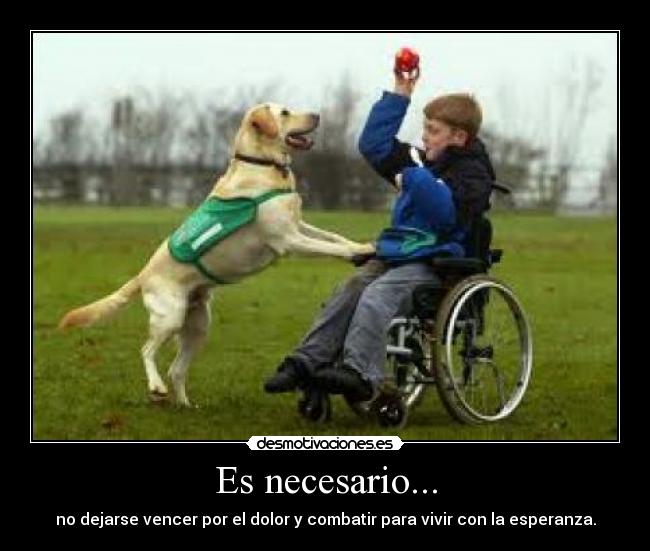 Es necesario... -