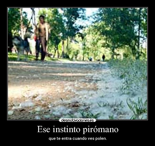 Ese instinto pirómano - que te entra cuando ves polen.