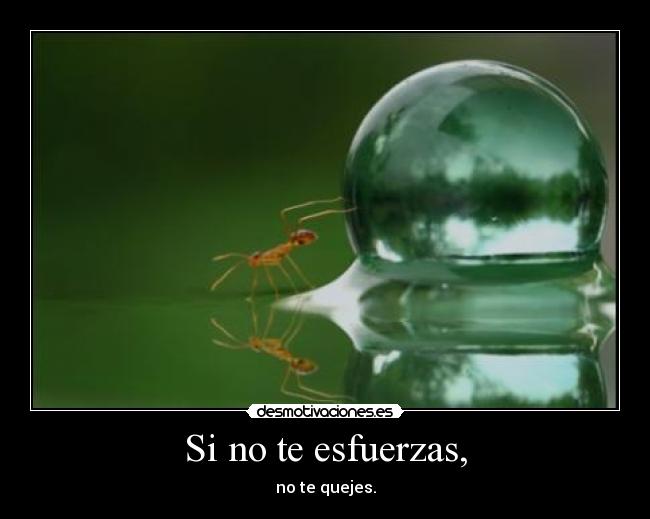 Si no te esfuerzas, -