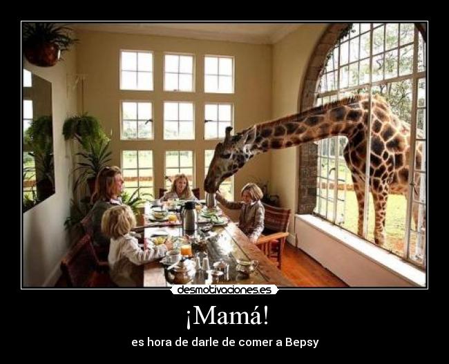 carteles vanete grac osa desmotivaciones