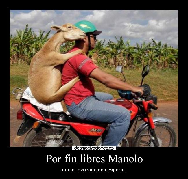 Por fin libres Manolo - una nueva vida nos espera...