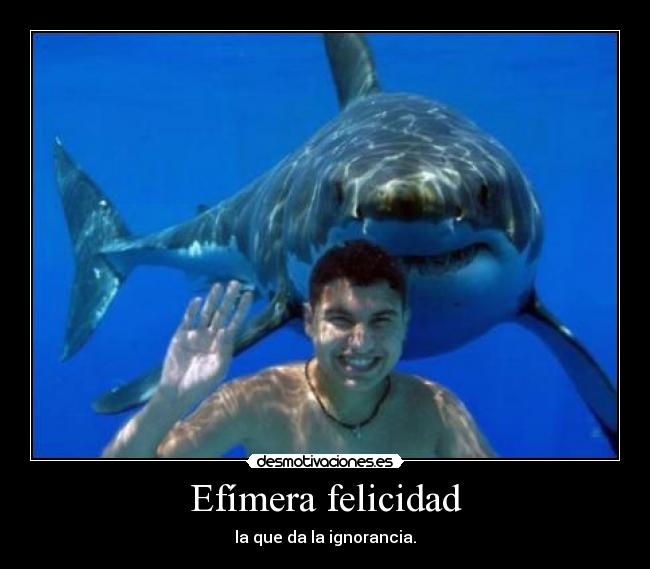 Efímera felicidad -