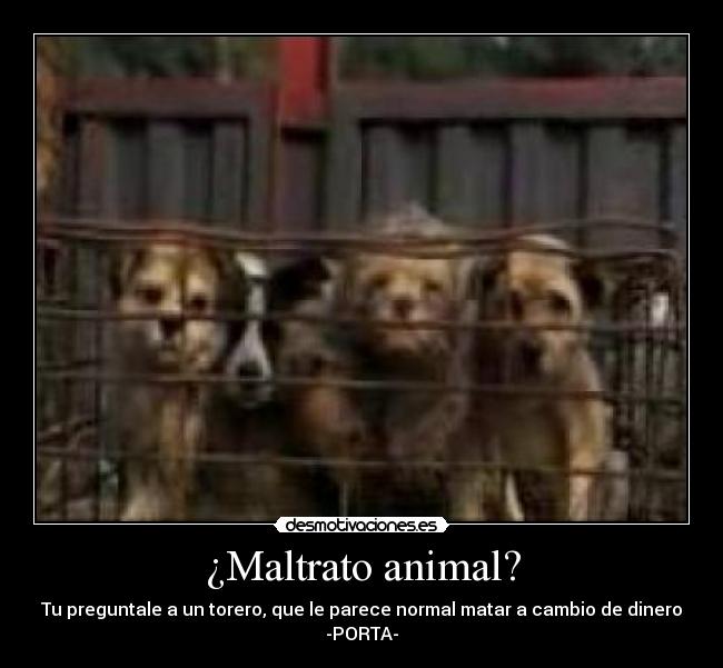 ¿Maltrato animal? - Tu preguntale a un torero, que le parece normal matar a cambio de dinero
-PORTA-