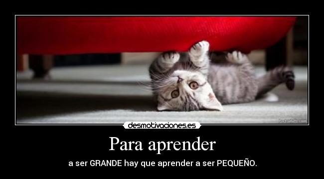 Para aprender - a ser GRANDE hay que aprender a ser PEQUEÑO.