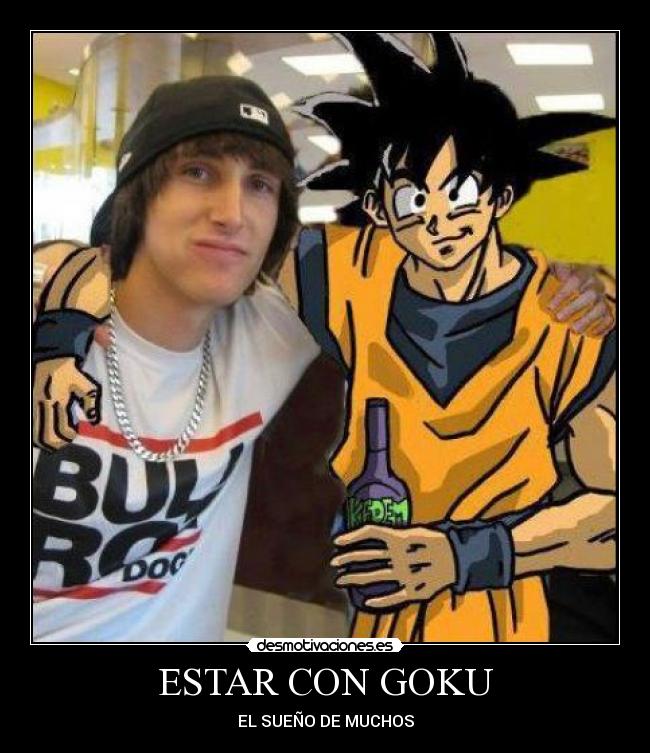 ESTAR CON GOKU -