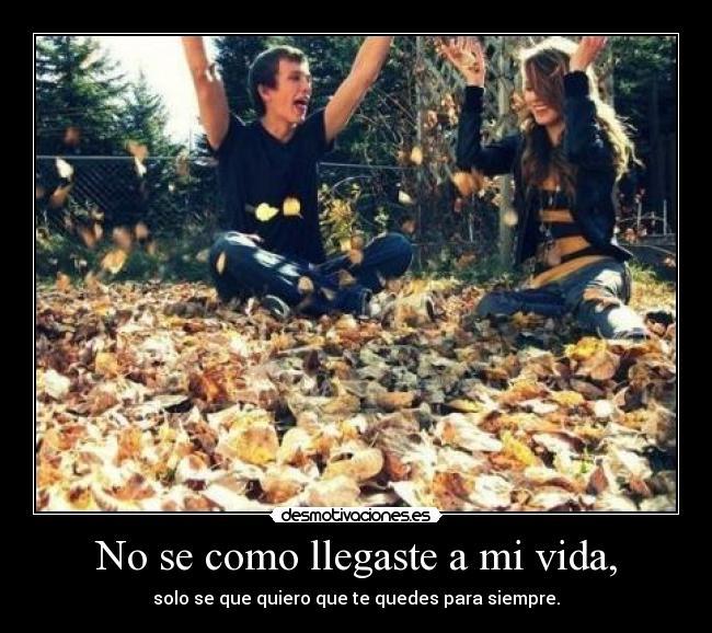 No se como llegaste a mi vida, - 