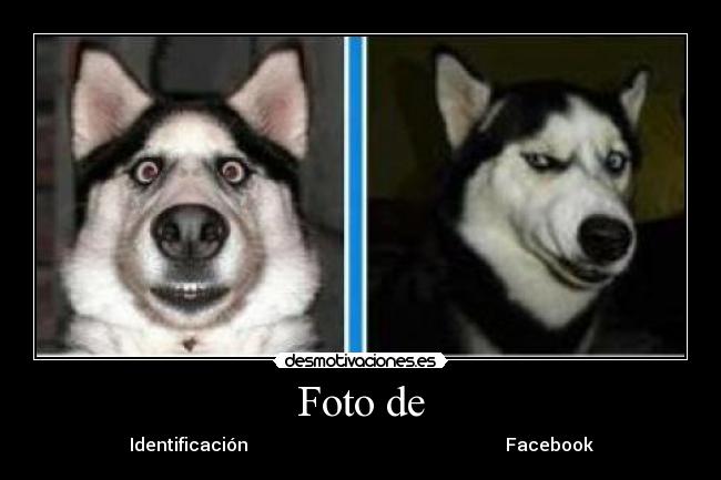 carteles foto desmotivaciones