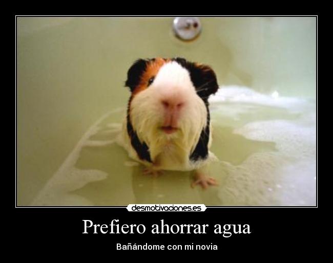 carteles seee desmotivaciones