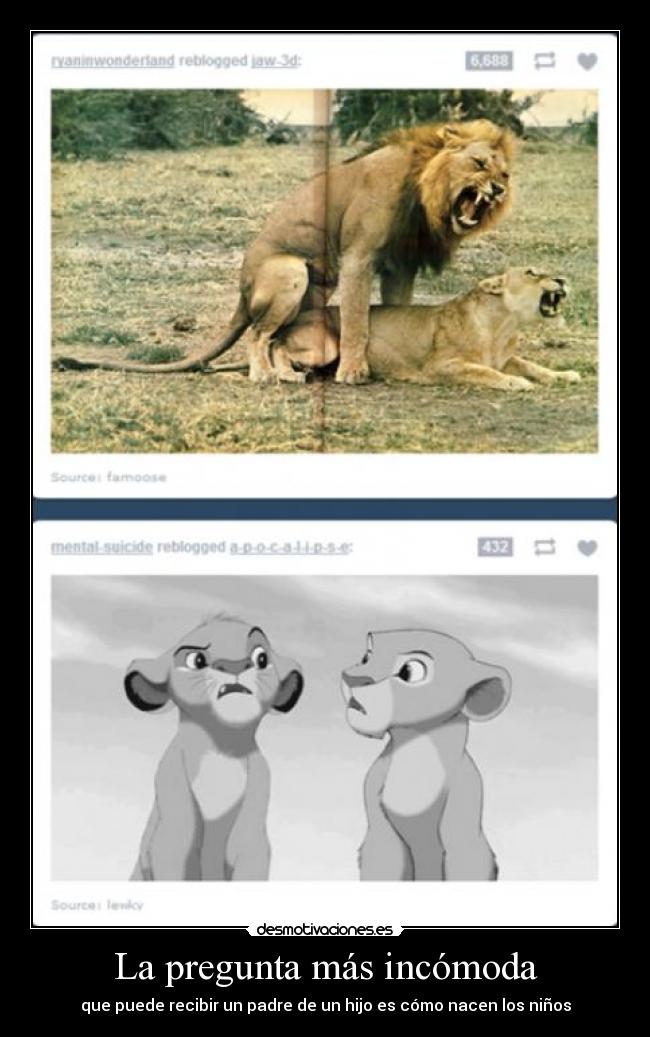 La pregunta más incómoda - 