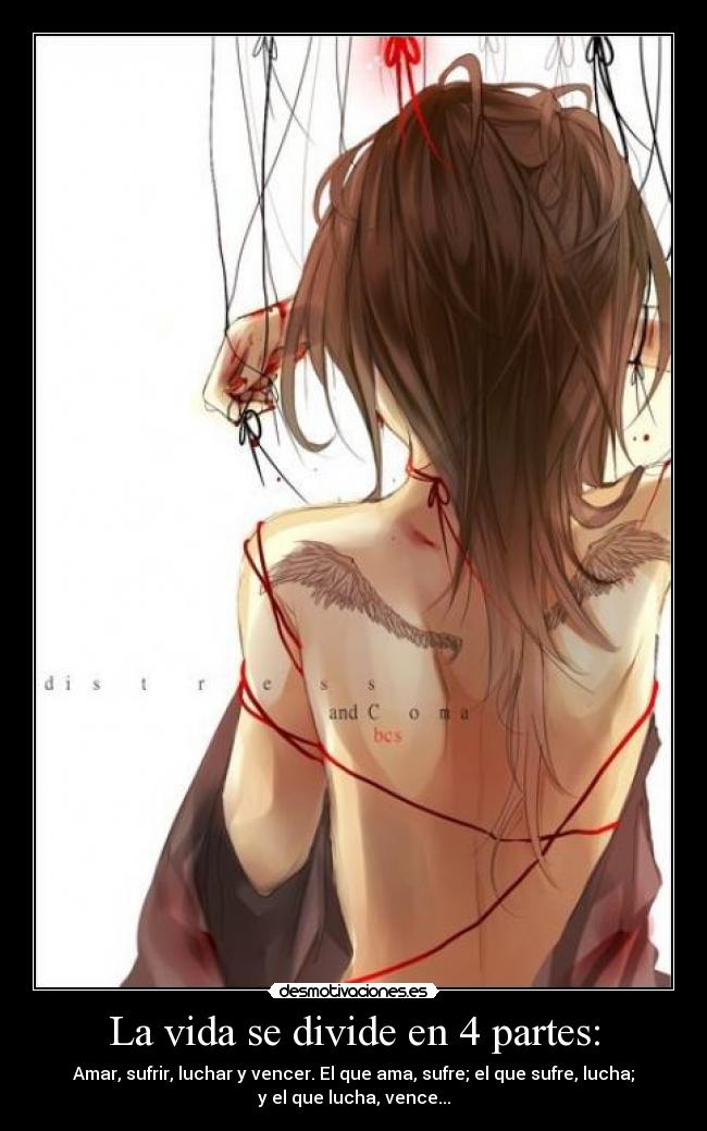 La vida se divide en 4 partes: - 
