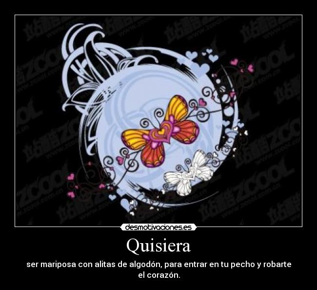 Quisiera - ser mariposa con alitas de algodón, para entrar en tu pecho y robarte el corazón.