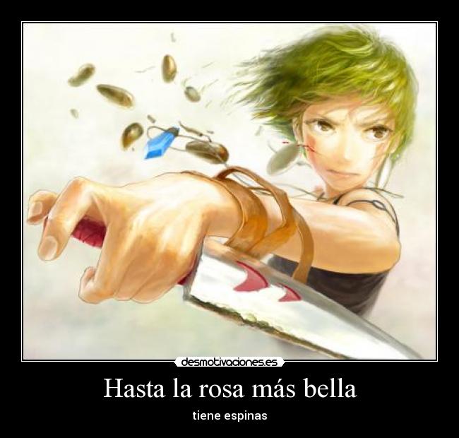 Hasta la rosa más bella -