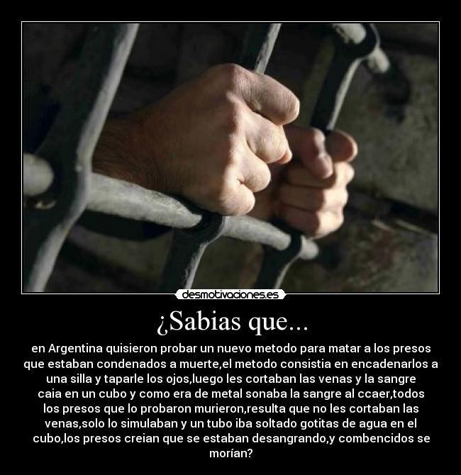 ¿Sabias que... - en Argentina quisieron probar un nuevo metodo para matar a los presos
que estaban condenados a muerte,el metodo consistia en encadenarlos a
una silla y taparle los ojos,luego les cortaban las venas y la sangre
caia en un cubo y como era de metal sonaba la sangre al ccaer,todos
los presos que lo probaron murieron,resulta que no les cortaban las
venas,solo lo simulaban y un tubo iba soltado gotitas de agua en el
cubo,los presos creian que se estaban desangrando,y combencidos se
morían?
