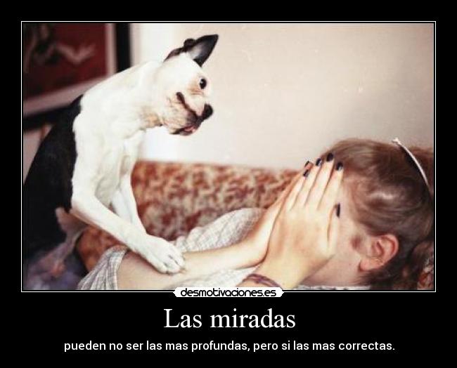 carteles soy perro estoy viendo con mucha ternura veme jojo 2desmoconcurso miro todo cambio desmotivaciones