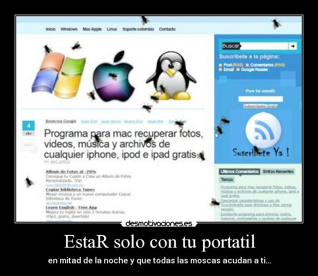 EstaR solo con tu portatil -