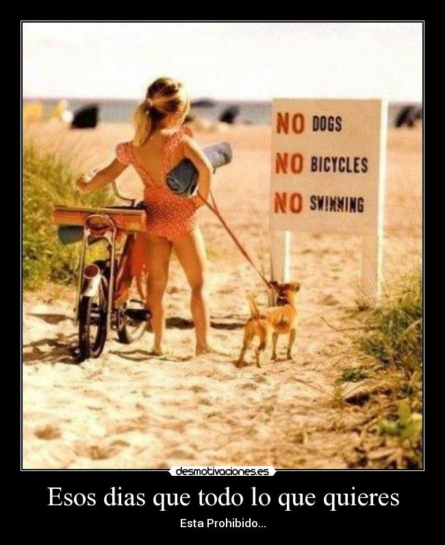 Esos dias que todo lo que quieres - Esta Prohibido...