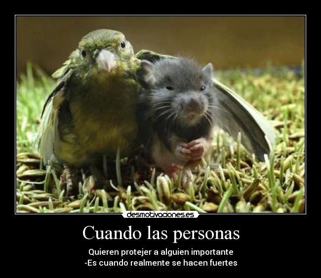 Cuando las personas - Quieren protejer a alguien importante
-Es cuando realmente se hacen fuertes