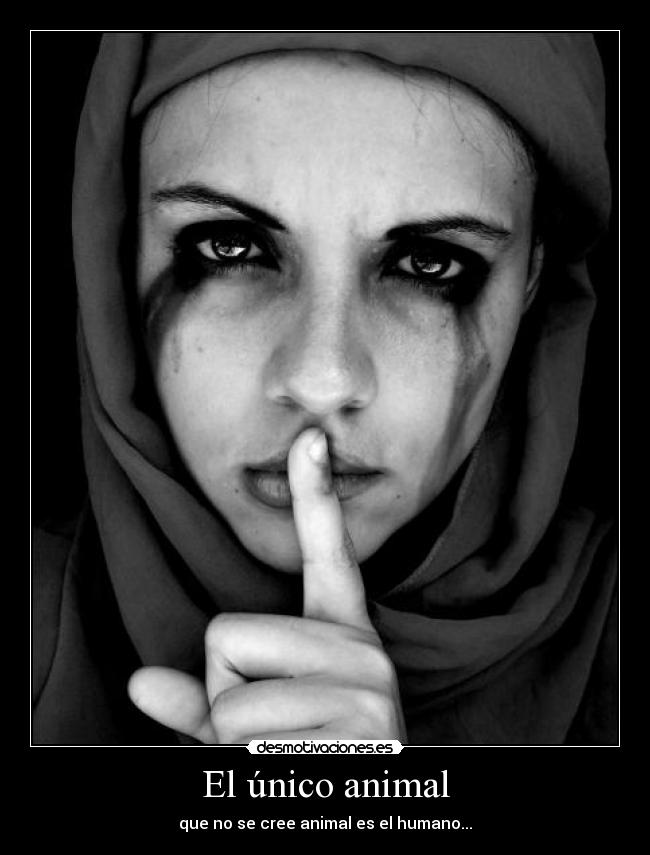 El único animal - que no se cree animal es el humano...