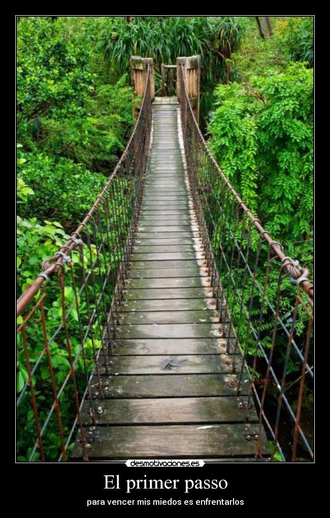 carteles miedos puentes colgantes desmotivaciones