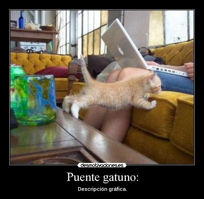 carteles lol vaya mierda tiene dos mas negativos borro los pongais posta seais cabrones atun desmotivaciones