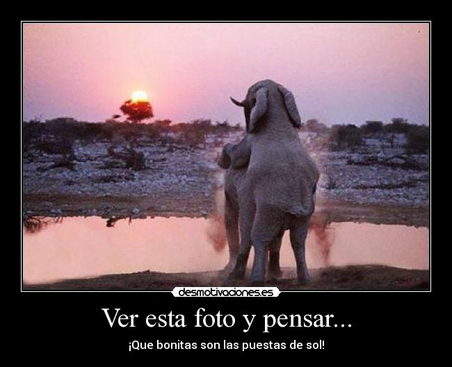 Ver esta foto y pensar... -