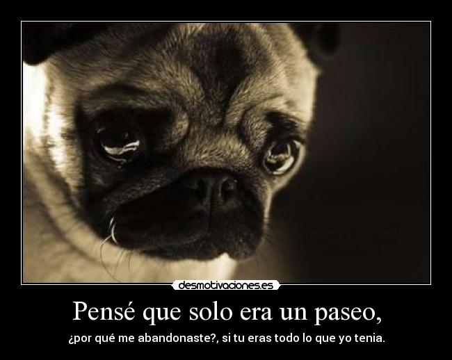 Pensé que solo era un paseo, - ¿por qué me abandonaste?, si tu eras todo lo que yo tenia.