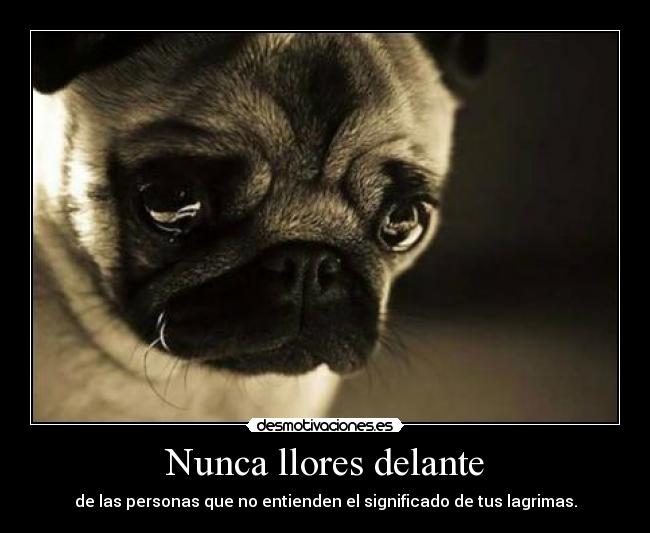 Nunca llores delante -