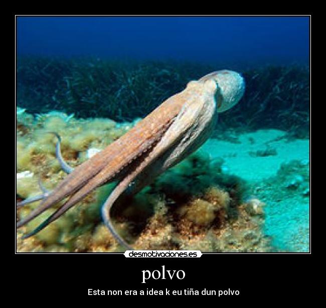 carteles desmotivaciones