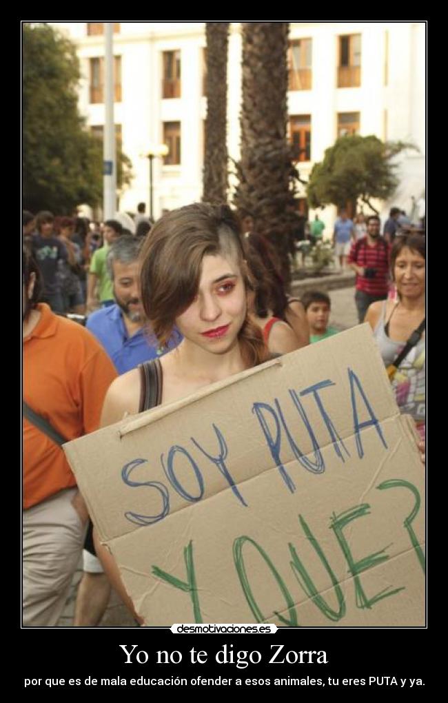 Yo no te digo Zorra - por que es de mala educación ofender a esos animales, tu eres PUTA y ya.