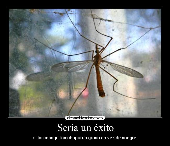 Seria un éxito - si los mosquitos chuparan grasa en vez de sangre.