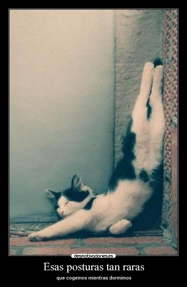 Esas posturas tan raras - que cogemos mientras dormimos