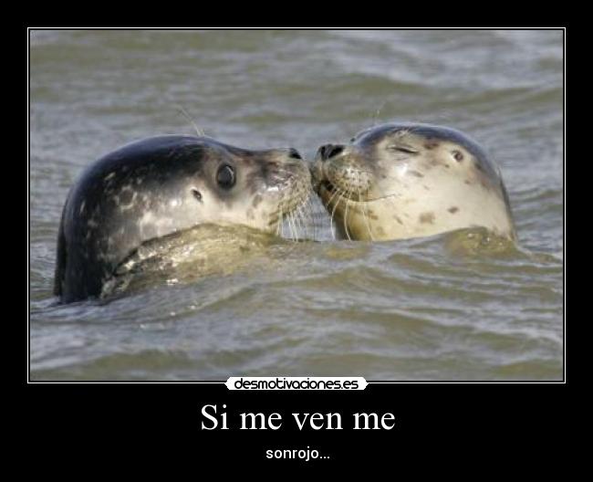 Si me ven me - 
