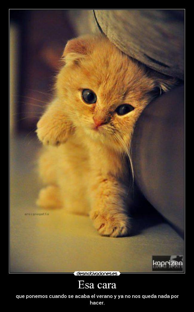 Esa cara - que ponemos cuando se acaba el verano y ya no nos queda nada por hacer.