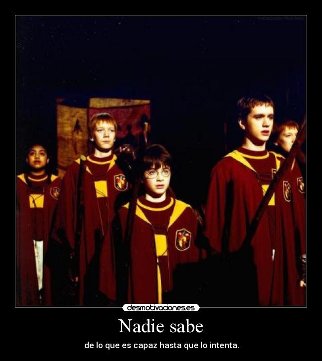 Nadie sabe - 