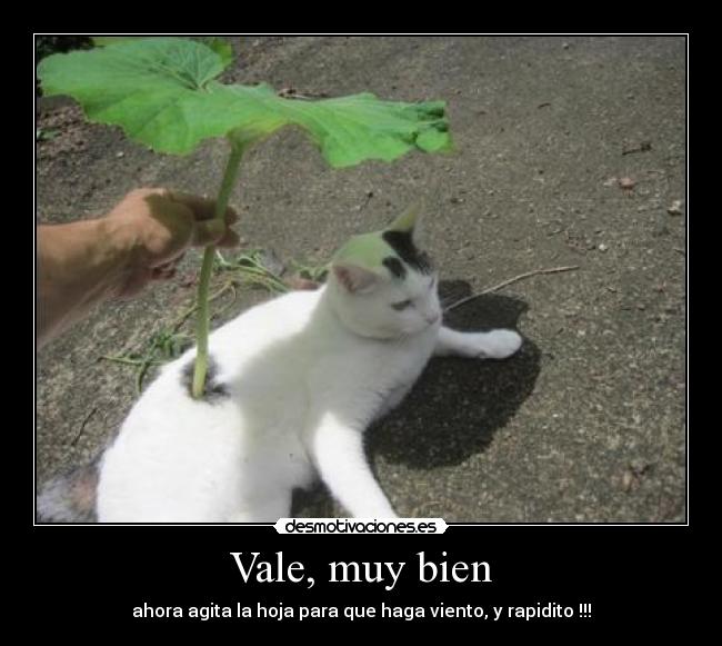 Vale, muy bien - ahora agita la hoja para que haga viento, y rapidito !!!