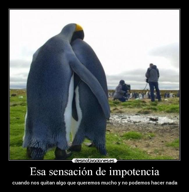 Esa sensación de impotencia - 