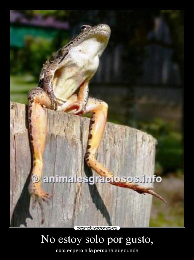 No estoy solo por gusto, -