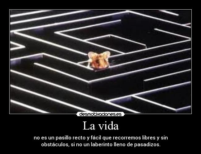 La vida - no es un pasillo recto y fácil que recorremos libres y sin
obstáculos, si no un laberinto lleno de pasadizos.