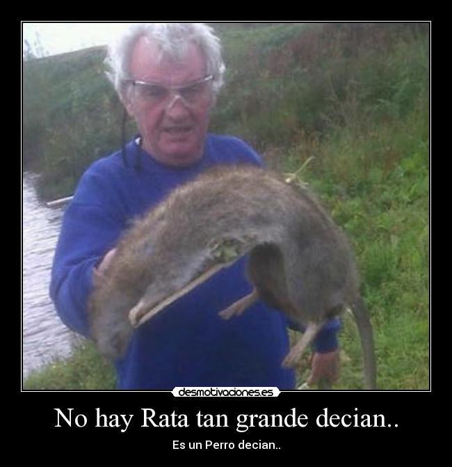 No hay Rata tan grande decian.. - Es un Perro decian..
