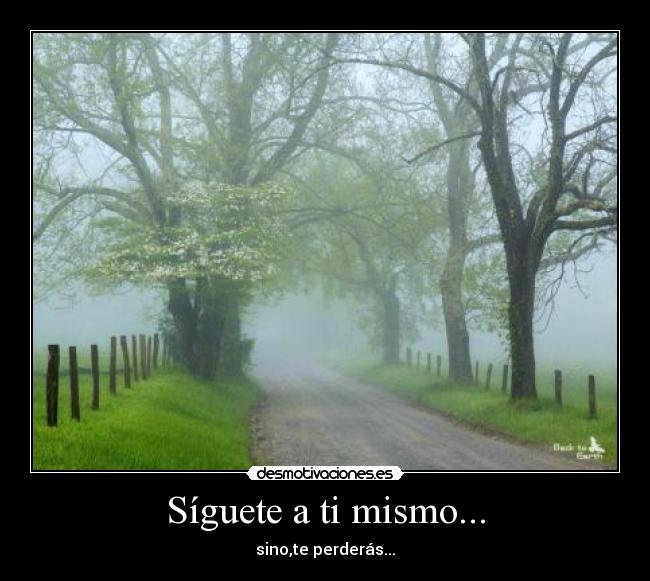 carteles siguete mismo desmotivaciones