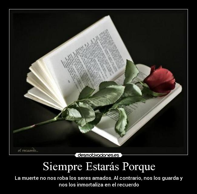 Siempre Estarás Porque -