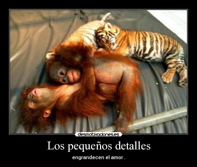 Los pequeños detalles - engrandecen el amor .
